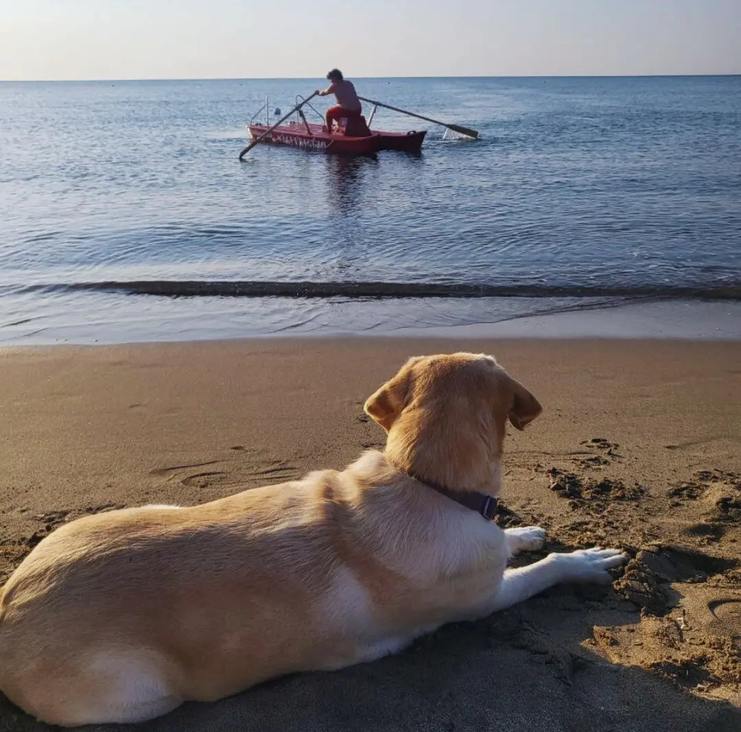 relax
